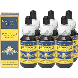 ���Υץ��ݥꥹ20% 25ml 6�ܥ��å�